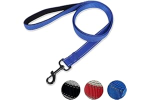 DOKI Reflective Dog Lead, Double-Sided Strong Nylon Dog Leash with Padded Handle, Durable Training Lead for Small, Medium, and Large Dogs, 1.2m × 2.5cm（3.9FT, Blue）