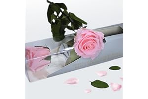 GDECORA Rosas Preservada de Ecuador, Rosa de Color Rosa Natural Preservada con Tallo 35cm Regalo para Mujer, Ideas para Sant Jordy, Día de la Madre y Cumpleaños, Ramos y Detalles Románticos (Bridal Pink)