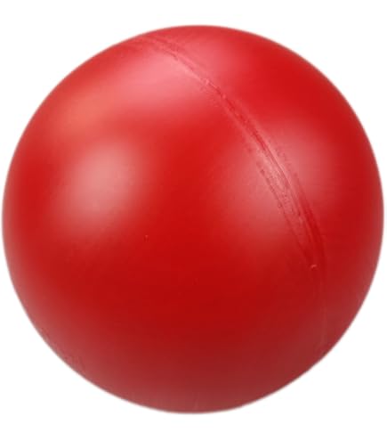 Herding Ball Für Hunde – 45,7 Cm, Aufblasbar & Bruchsicher | Für Australian Shepherds, Collies & Große Rassen | Robuster Hüteball