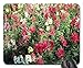 Produktbild snapdragons Flowers on a Picnic Day at The Park 18 Mouse Pad,Flowers Non-Slip Mouse Pad Office Competitive Mouse Pad 18X22cm