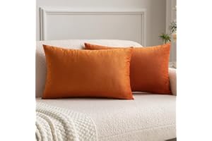 MIULEE Lot de 2 Housses de Coussins en Velours Décoratif Canapé Taie d'oreiller Super Lisse Doux Decoration Maison Salon Chambre pour Canapé 2 Pièces 30X50CM Orange