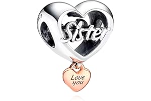 Rimgoris Plata de ley 925 Charm para mujer Pulseras Collar Infinito Corazón Familia Cierre Cadena de seguridad Estampado de perro Hueso Moneda Familia Amigo Para siempre Globo aerostático Casa