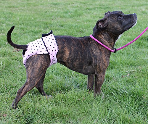 Dog-Season-Diaper-Heat-Nappy-Pants-Size-Medium-Regular-Pink-Black-Dots