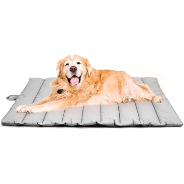 Ultra Luxe Lounger Hundebett Mit Kissen – Waschbar, Recyceltes Polyester, Größe L