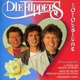Lotosblume - die Flippers
