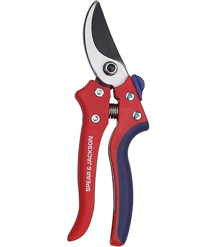 Draper 82608 Guanti Da Giardinaggio In Pelle – Taglia XL, Resistenti E Morbidi - 2