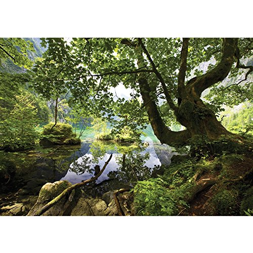 Vlies Fototapete PREMIUM PLUS Wand Foto Tapete Wand Bild Vliestapete - Wasser Baum Gras Berg Felsen Steine - no. 2421, Größe: 312 x 219 cm Vlies