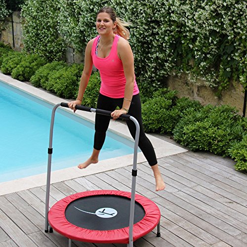 Preisvergleich Produktbild Trampolin Minimax mit Haltestange