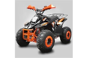 T-MOTO.IT #1 OFF ROAD LEADER T-MOTO Mini quad a benzina Kid 125cc, Quad bambini benzina 4 Tempi, Quad 125cc con portapacchi e paramani NERO