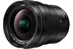 Panasonic LEICA 8-18mm F2.8-4.0 | Objectif Zoom Ultra Grand Angle H-E08018E (Grande ouverture F2.8, Tropicalisé, equiv. 35mm : 16-36mm) Noir – Compatible monture Micro 4/3 Panasonic & Olympus