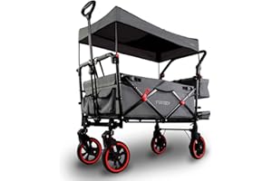 FUXTEC CT850 Grey Folding Stroller Wagon for Kids to Sit In – Portable Push-Pull Wagon with Removable Canopy, 5-Point Safety Harness & Adjustable Handle for Outdoor Transport