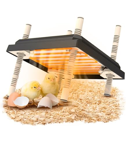 Plaque Chauffante MUYIRTED Pour Poussins - 25x25cm, Température Constante 55°C | Élevage Volaille