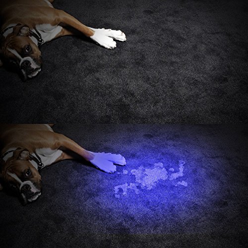 UV Schwarzlicht Taschenlampe, AhomePlay Ultraviolet 395nm LED Lampe, Urinflecken detektor, Bett-Wanzen-Sucher, Hund / Katze Fleckenentferner, mit Batterie 18650 und Aufladeeinheit - 5