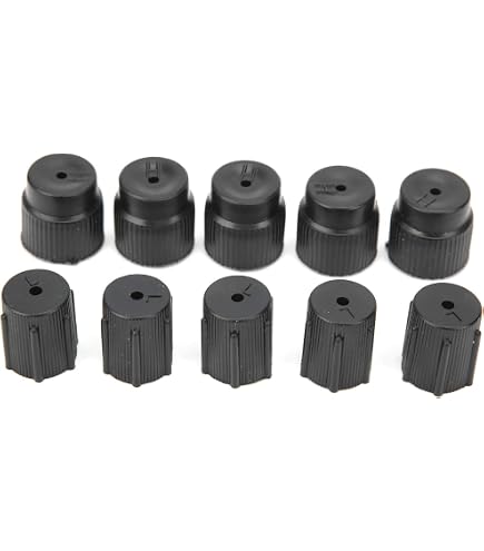 VGOL Lot De 6 Bouchons De Climatisation Voiture R134a - Couvercles Valve Haute/Basse Pression M8 M9 M10