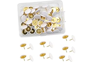 ZSRVAJ 100 Pcs White Drawing Pins, drawing pins for walls, Decorative Drawing Pins Round HeadStorage Box for Wall Hangings Cork Board Maps Posters Photos Pinboard and Bulletin Boards