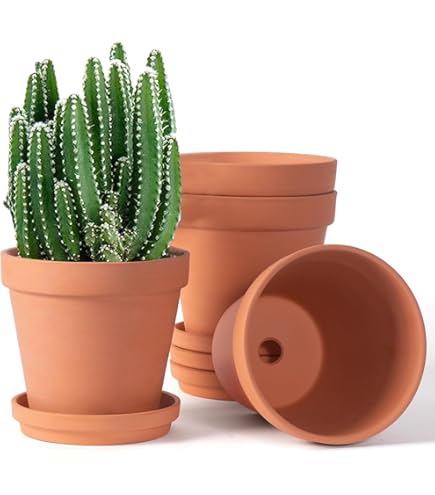 Ikea BINTJE Set Da 10 Vasi Per Piante In Acciaio Zincato, 9 Cm Di Diametro