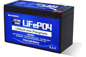 ECO-WORTHY LiFePO4-batteri på 12 V/8 Ah, uppladdningsbart litiumbatteri med BMS-skydd och 3 000 djupa cykler, för camping, so