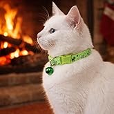 KEDİ BOYUN TASMASI ZİLLİ VE AYARLANABİLİR YEŞİL