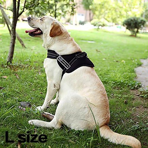 Black Adjustable Soft Padded Dog Harness New Soft Sports Walk Adjust Trainning Nylon Pit bull Husky Boxer UK (large)