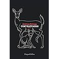 Contrappasso