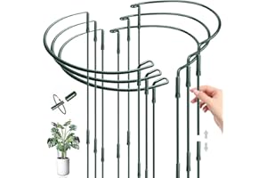 HEYIDAMAI 6 Stück Pflanzenstützen Halbrund Pflanzenstütze Ringkäfige, Pflanzenhalter Metall 25 x 60 cm, Pfingstrosen Halter, Pflanzenringe Rund, Staudenhalter, für Pfingstrosen, Rosen, Topfpflanzen