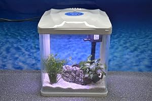 AQUARISTIKWELT24 Nano Aquarium der HRC Reihe in verschiedenen Größen und Farben Filteranlage Nanoaquarium Komplett Filter Beleuchtung, HRC ohne Deko:HRC 230 weiß