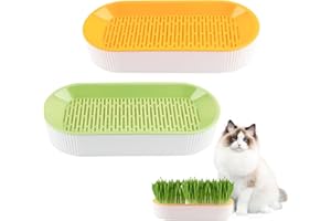 SilverChry 2 Piezas Gatos Semillero para Hierba Gatera, Maceta Hidropónica para Hierba Gato, Kit de Cultivo de Hierba para Gatos Estación de Alimentación para Jardín Interior y Exterior