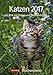 Katzen - Kalender 2017: Wochenplaner, 53 Blatt mit Zitaten und Wochenchronik by 