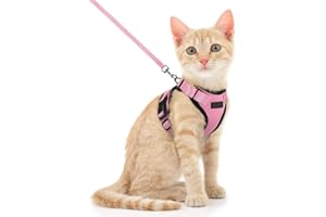 Voarge Arnés para Gato Ajustable Con Correa de 150cm - Seguridad para Pequeño, Medio y Grande Gato Adulto y Cachorros - Cat Harness para Caminar y Viajes (XS, Rosa)