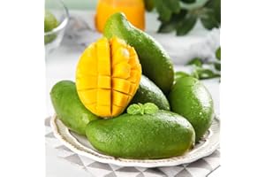 BRKENT Semi Di Mango Albero Bonsai Alberi Bonzai Piante Esotiche Da Interno Semi Di Frutta Albero Da Frutto Piante Da Balcone Semi Di Piante Bonsai Giardinieri Regali Fiori Giardino Semi Rari Albero 2 Pezzi