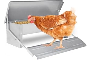 EINFEBEN - Distributore di cibo per polli, 5 kg, automatico, con coperchio, mangiatoia per pollo, mangiatoia autoportante, impermeabile, per polli, anatre, tacchini