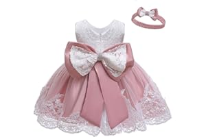 LZH Baby Girls Flower Wedding Dress Toddler Birthday Party Pageant Baptism Christening Tutu Gown Bowknot Dress
