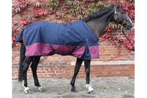 jw reitsport Regendecke mit Fleeceinnenfutter 6 Farben 115cm - 165cm