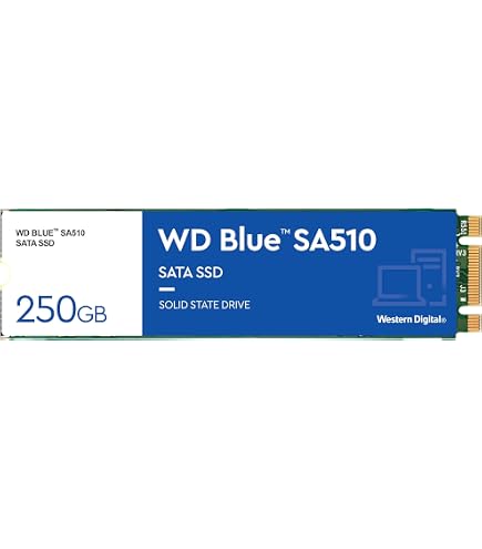 Western Digital WD Blue SA510 M.2 SSD 500 GB : Amazon.co.uk