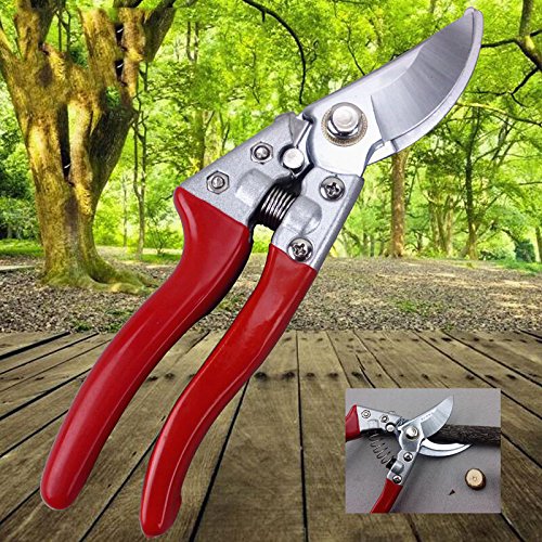 Gartenschere – Smaier Hand Schneide Schere zum Schneiden von Hecken, Unkraut, Rasen und zum Gras Schneiden Rosenschere ideal für professionelle Gartenarbeiten – Ergonomischer Griff - 2