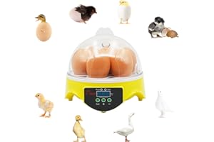 Miniincubadora PROBEEALLYU para huevos con control automático de la temperatura, con pantalla digital led, herramienta de incubación para patos, pájaros y pollos (7 huevos), enchufe europeo