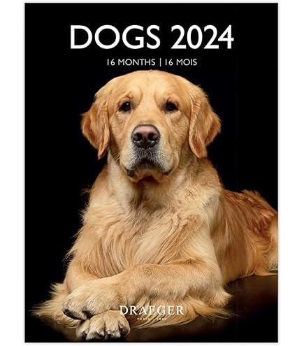 Calendario Porsche Calendario De Pared Gato 2025, Divertido