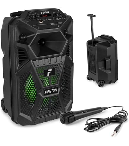 Enceinte Trolley Avec Micros Sans Fil Et Lumières RGB - Fonction TWS, Télécommande, écran, Pour Fêtes Et Extérieur