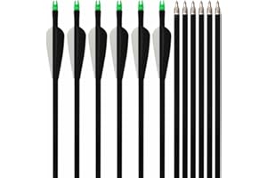 e5e10 Fiberglass Target/Hunting Arrows 33-Inch with Replacement Screw-In Target Practice Point for Compound Bow 12pcs