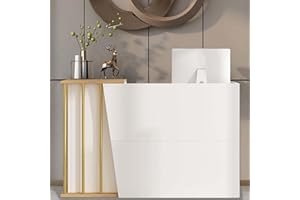 XNKLPY Empfangstresen Multifunktionaler Empfangstheke Salon Kosmetikstudio Reception Desk Tresen Kassentisch Messetheke BüRotheke Rezeption Tisch RezeptionsmöBe(Size:120CM,Color:a)