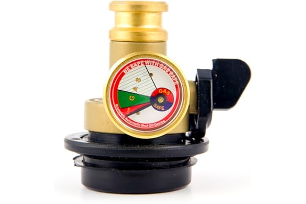 SUSRIJA Gas Safe India Automatic Gas Safety Device with Auto Cut-Off LPG Gas Leakage Protection Regulator Vertical Kitchen Safety Valve (Brown)