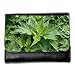 Produktbild Portemonnaie Geldbörse Brieftasche // M00291521 Brennessel Weed Herbs Ppflanze Garten // Medium Size Wallet