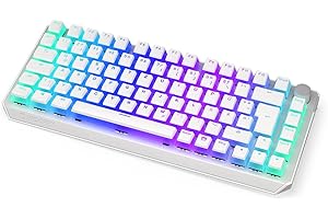 ENDORFY Keyboard Thock 75% Wireless