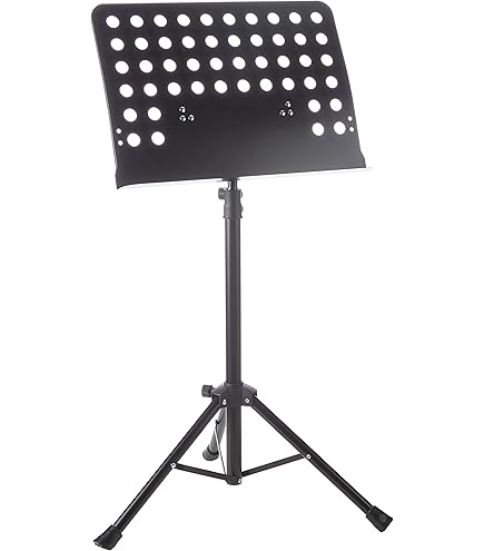 Muziekstandaard: de beste opties in vergelijking