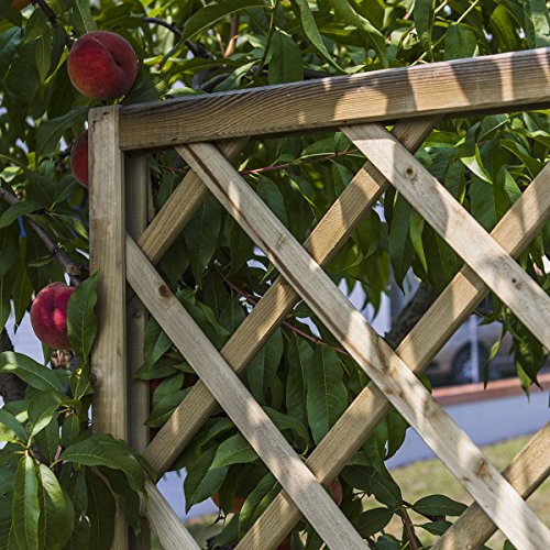 Rankgitter aus Holz Autoklav 1200 x 1800 Trikot 120 mm - 2