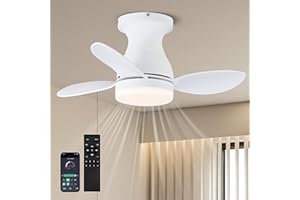 LEONTYNE Ceiling Fans with Lights and Remote,Metal LED Ceiling Fan,App Dimmable 3 Color, 6-Speed Quiet Reversible DC Motor,58 cm Flush Mount Ceiling Fan with Light for Bedroom Kitchen Small Spaces