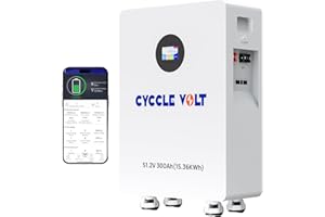 CYCCLEVOLT Batería Litio LiFePO4 48V 300Ah con BMS 200A, Batería Solar 15kWh, WiFi&Bluetooth Control App, RS485&Can, Pantalla táctil, 8000+ ciclos para Sistemas solares, autocaravanas, doméstica