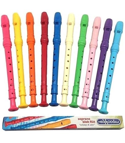 Flûte Soprano Aulos 204A En Plastique 3 Pièces - Instrument D'Initiation Avec Étui