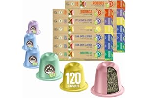 La Natura LIFESTYLE Coffret connaisseur de thé Bio 120 Capsules de thé