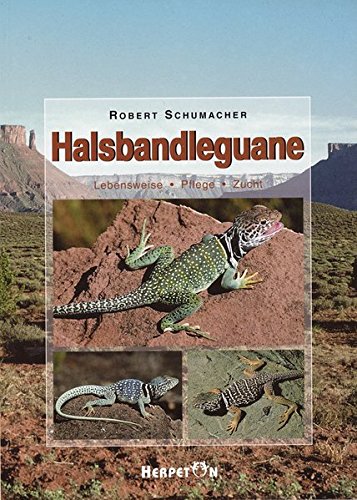 Download Halsbandleguane: Lebensweise, Pflege, Zucht Download Halsbandleguane: Lebensweise, Pflege, Zucht